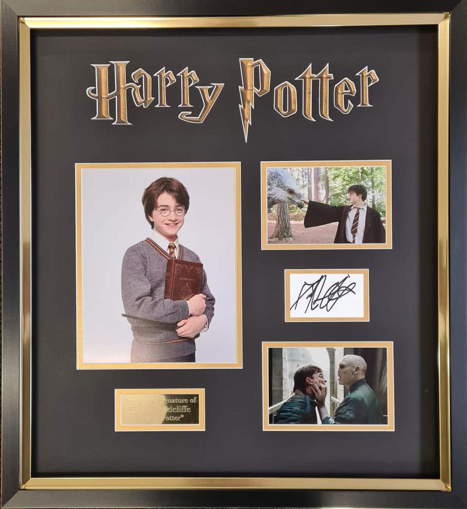 Daniel Radcliffe Signed Display